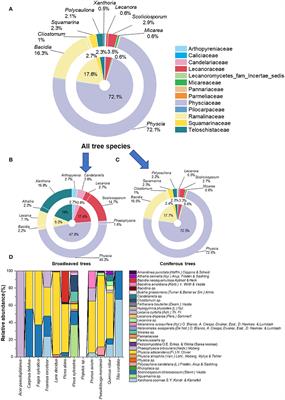 More than you can see: Unraveling the ecology and biodiversity of lichenized fungi associated with leaves and needles of 12 temperate tree species using high-throughput sequencing